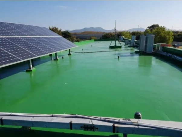 여수 대경도 경호초 지붕 보수공사 - 시공후